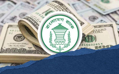 ১৪ দিনে প্রবাসীরা দেশে পাঠালেন ১৫২ কোটি ৬০ লাখ ডলার